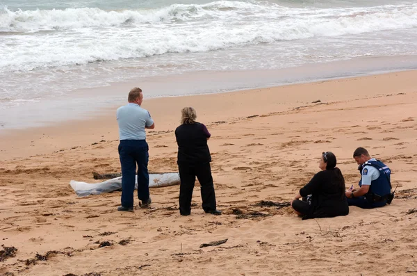 Missing person body washes ashore — Stock Photo, Image