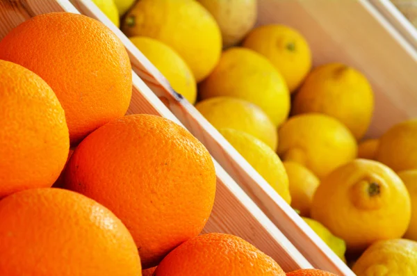 Orangen und Zitronen aus nächster Nähe — Stockfoto