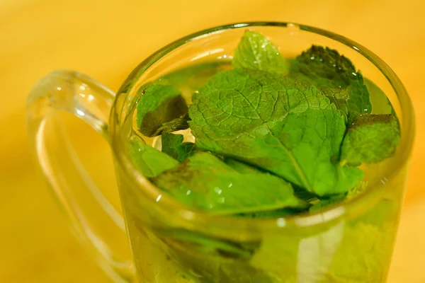 Teh Mint Segar — Stok Foto