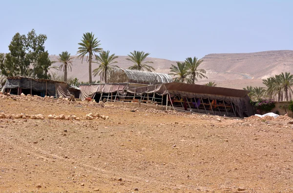 Tenda beduína em israel — Fotografia de Stock
