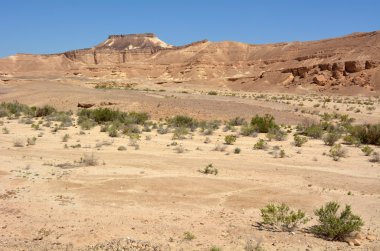 makhtesh ramon - ramon krater - İsrail 