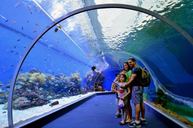 Shark Pool of Coral World Underwater Observatory aquarium in Eil