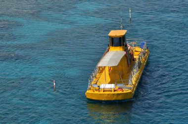 Coral Beach tabiatı Eilat, İsrail
