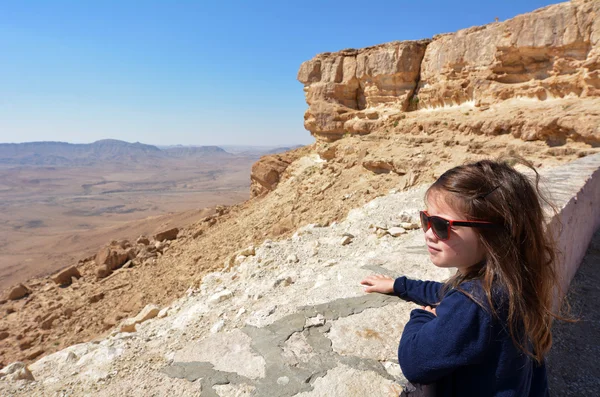 Makhtesh ramon - ramon krater - İsrail — Stok fotoğraf