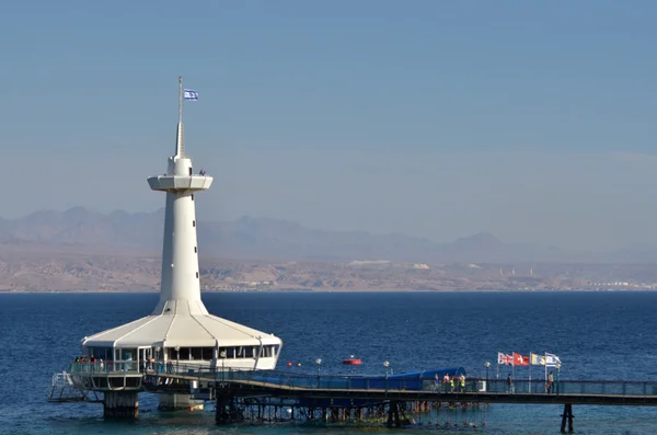 Acuario del Observatorio Submarino Mundial del Coral en Eilat Israel — Foto de Stock