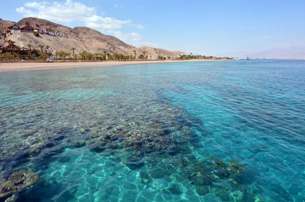 Paisaje marino de la Reserva Natural de Coral Beach en Eilat, Israel . — Foto de Stock