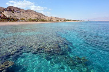 Eilat, ISR - Coral Beach tabiatı Eilat, Israel.It'ın en güzel mercan kayalığı dünyanın ve biri de 16 Nisan 2015:Seascape dünyanın dört bir yanından gezginler tarafından ziyaret edilmiştir.