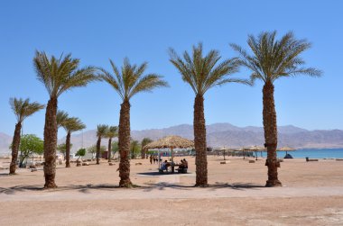 Cityscape Eilat, İsrail