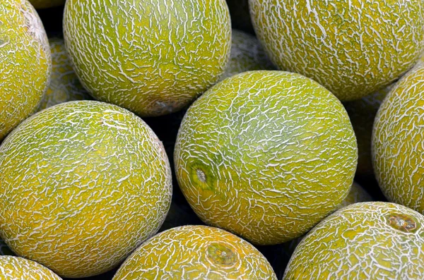 Melões em exposição no mercado alimentar — Fotografia de Stock