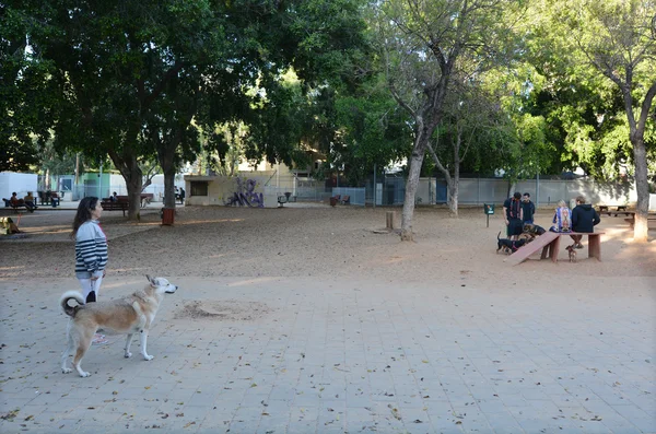 Aire de jeux pour chiens dans le parc Meir à Tel Aviv - Israël — Photo