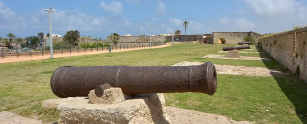 Oude kanonnen op de muren van Akko — Stockfoto