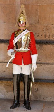 Trooper of the Blues and Royals performing