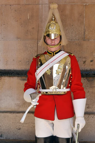 Trooper of the Blues and Royals performing — ストック写真
