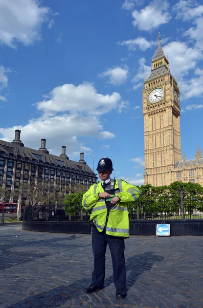 Metropolitan Police Service officer gurad — Stockfoto