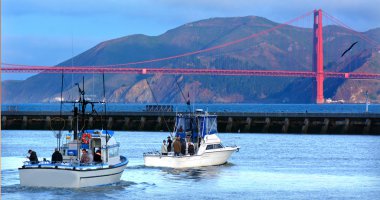 Fishing boats sail out of Fisherman wharf in San Francisco - CA clipart