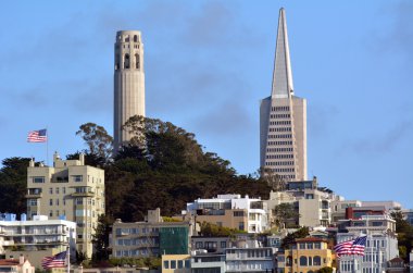 Coit Tower and Transamerica Pyramid dominant San Francisco skyli