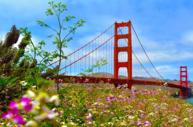 Golden Gate Köprüsü San Francisco, çiçek blussoome, Ca.Frommers seyahat rehberi dikkate alır Golden Gate Köprüsü muhtemelen en güzel, kesinlikle en çok fotoğrafı çekilen, köprü dünya.