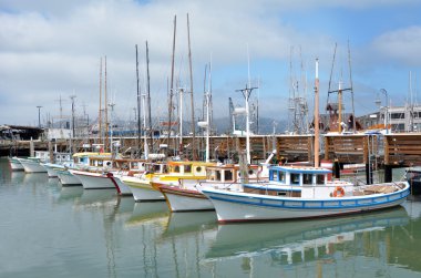 colorful Fishing boats in Fisherman Wharf San Francisco 