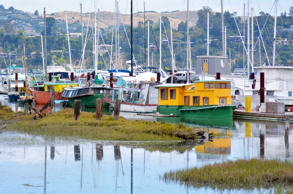 Colorful houseboats in Sausalito — Stok fotoğraf