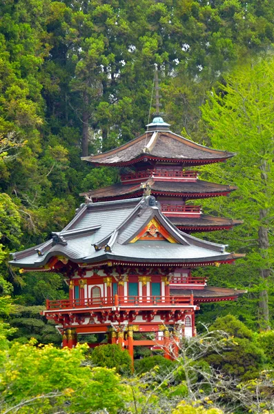 Jardín de té japonés en Golden Gate Park —  Fotos de Stock