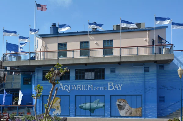 Aquarium of the Bay in San Francisco — Stock Photo, Image