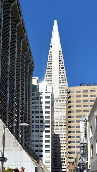 Transamerica Pyramid in San Francisco — Stock Photo, Image