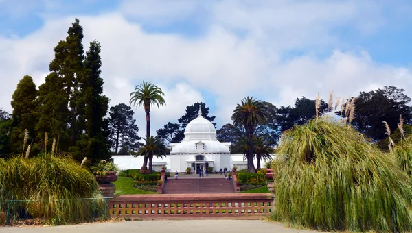 Golden Gate Park São Francisco — Fotografia de Stock