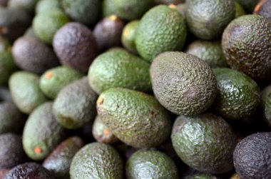 Asian Avocado fruit