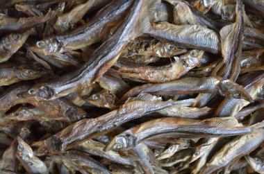 Dried small anchovies fish 