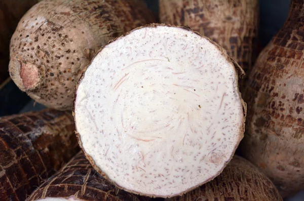 Across section of cassava — Stockfoto