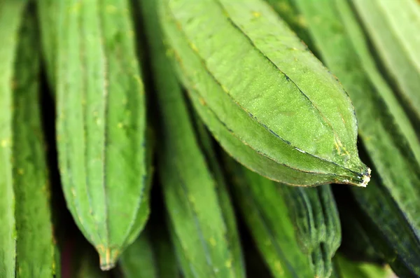 Asian bitter cucumber at a market in Chinatown — Stock Photo, Image