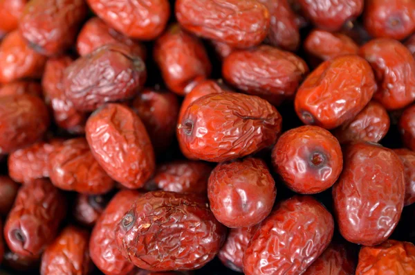 Date palms as background — Stok fotoğraf