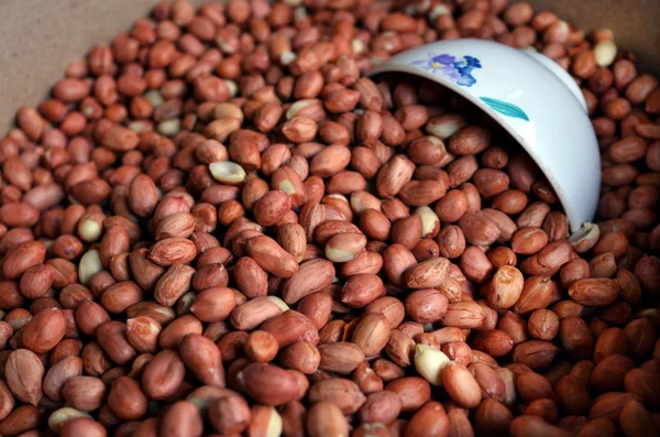 Cacahuètes crues sur le marché — Photo