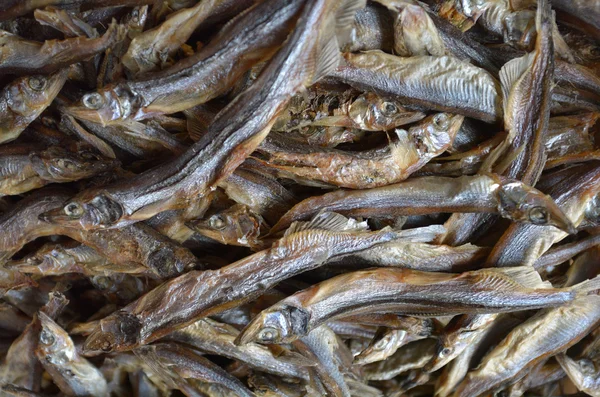 Dried small anchovies fish — 스톡 사진