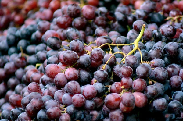 Red grapes in market — Stock Photo, Image