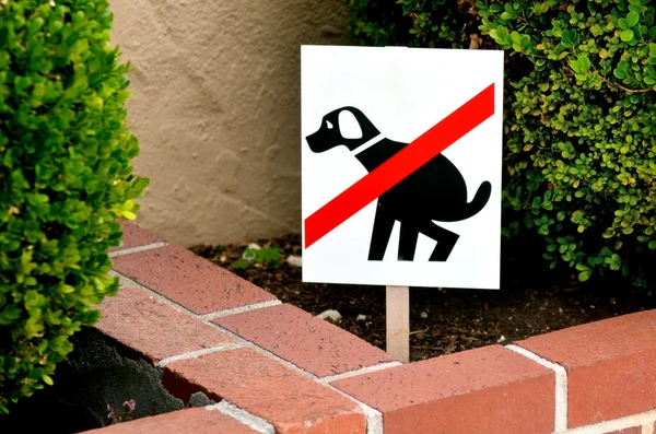 No exhaust place for dogs — Stok fotoğraf