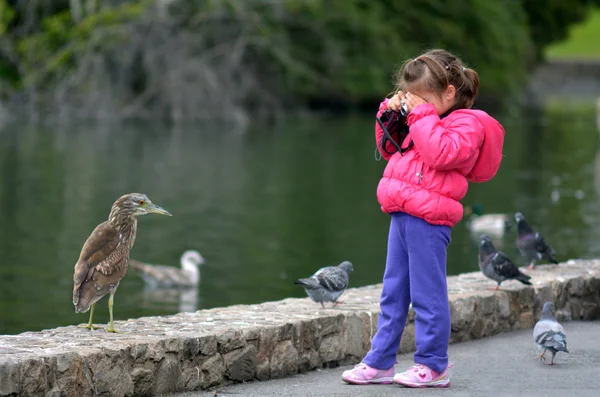 Little child with a camera photographing wildlife — Stockfoto