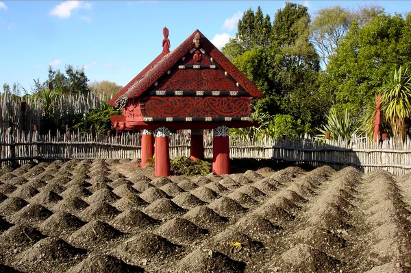 Te Parapara Maori Garden en Hamilton Gardens Nueva Zelanda — Foto de Stock