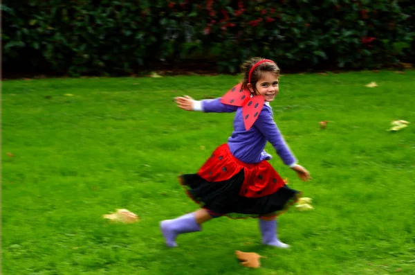 Happy little girl age 05 dressed up as lady bug — Stock Fotó