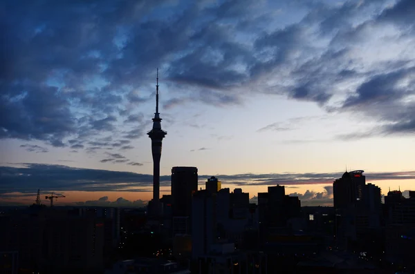 Silhouette of Auckland skyline at sunrise — Stock fotografie