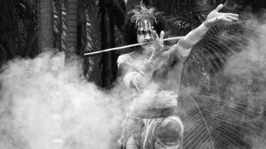 Yugambeh yerli savaşçı preform yerli savaş sanatı Queensland, Avustralya Aborjin kültür show sırasında.