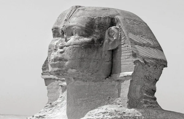 The Sphinx — Stock Photo, Image