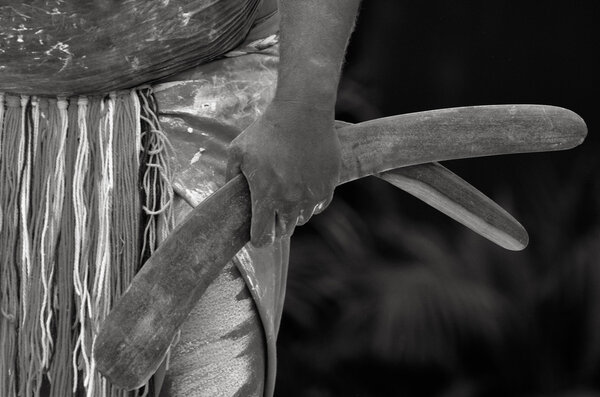 Югамбе аборигенный воин держит в руках бумеранги
