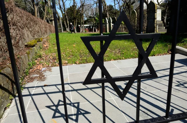 Symonds Street Cemetery in Auckland, Nieuw-Zeeland — Stockfoto