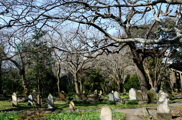 Symonds Street Cemetery in Auckland New Zealand — Stock Photo, Image
