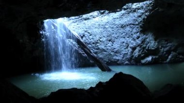 Springbrook Milli Parkı Doğal Köprü Şelale