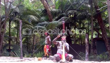 Yugambeh Aboriginal warriors men sing play and dance during Aboriginal culture show