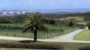Northland'daki Karikari yarımadası