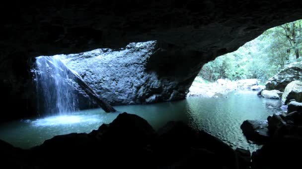 Waterfall in Natural Bridge at Springbrook National Park — Stock Video