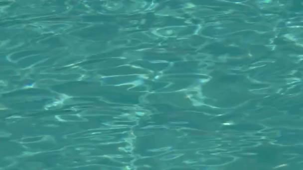 Swimming pool water — Stock Video